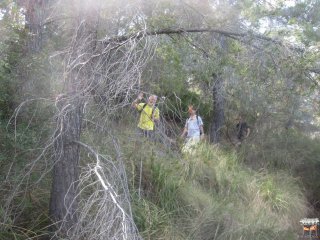 Wanderung von Esporles nach Banyalbufar