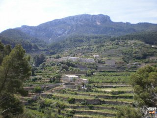 Wanderung von Esporles nach Banyalbufar